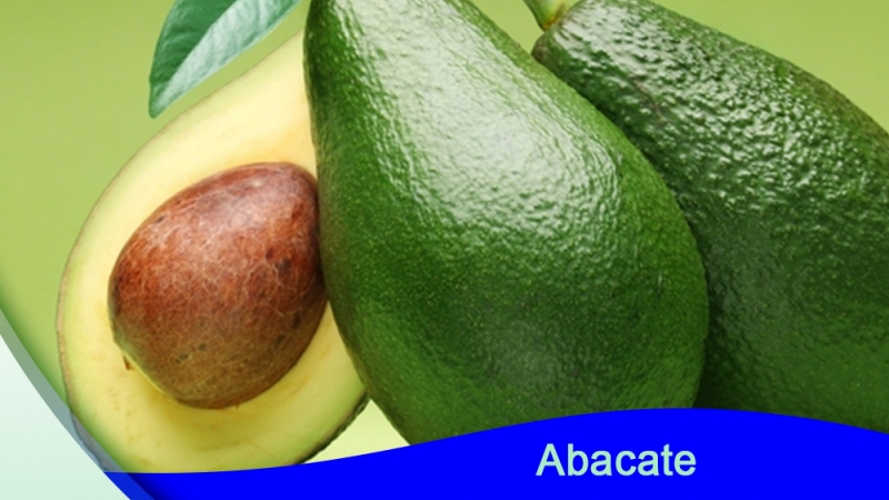 Abacate!! Combate o Estresse Oxidativo, Diminui os Triglicerídeos e  Aumenta os Níveis de Colesterol Bom